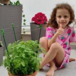 World of Plants - June 2025