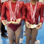 34th International Artistic Gymnastics Competition Malta 2019