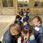 Participation in the Seeds for Students Initiative - March 2023
