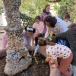 Seedlings Planting in Our Garden - January 2025