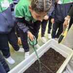 Planting Potatoes In The Planters Provided By The EkoSkola/LEAF committee - February 2026