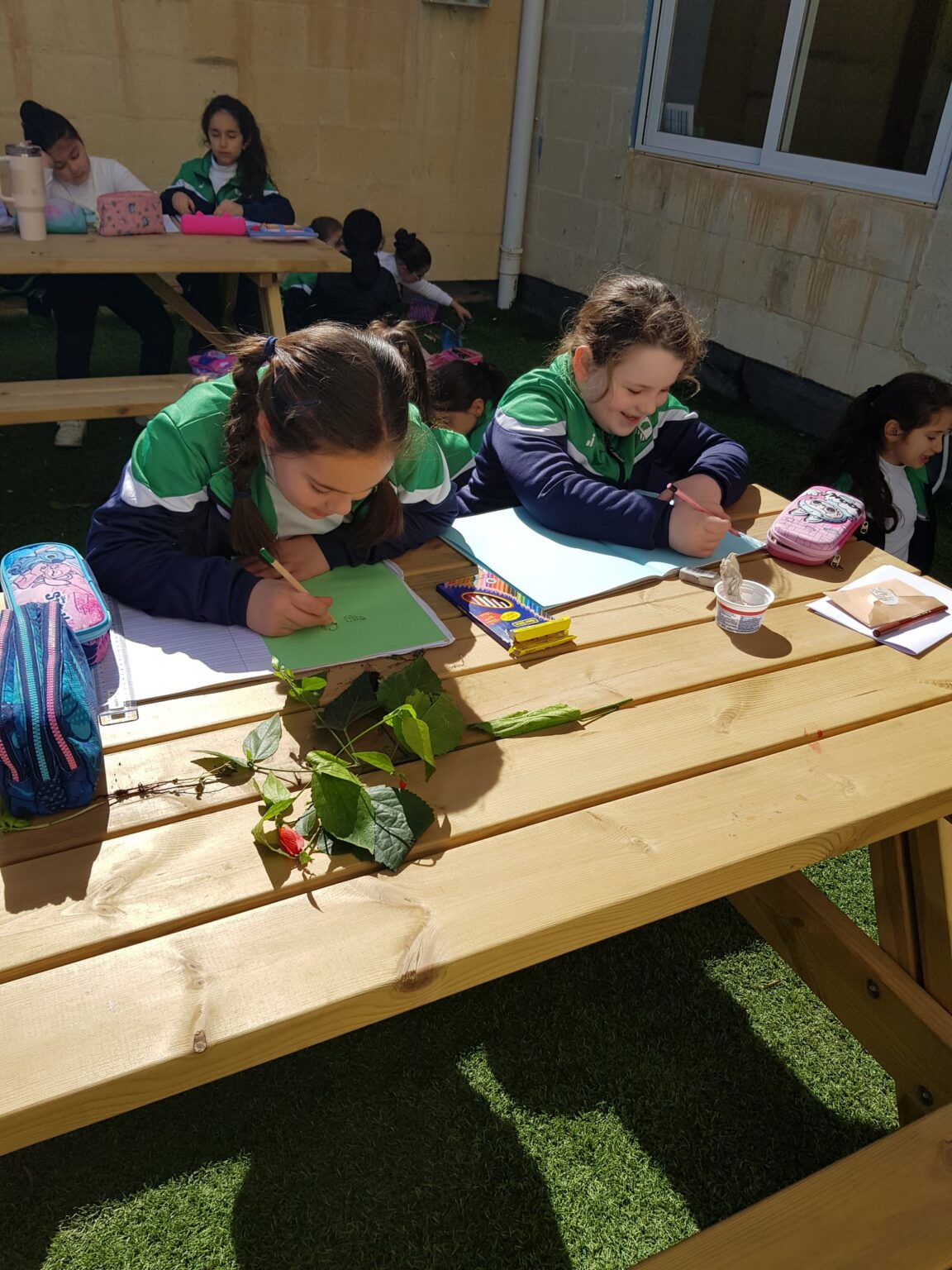 Grade 3 Class Taking Learning Beyond The Four Walls of The Classroom ...