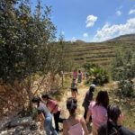visit to Ta' Mikiel Olive Grove - April 2026