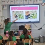 Class Presentations in Grade 2 by Pia Zammit - May 2026
